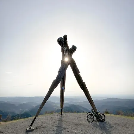 Vergissmeinnicht Gengenbach